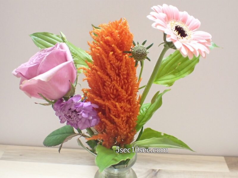 株式会社Crunch Style お花の定期便 Bloomee LIFE ブルーミーライフ　レギュラープラン　届いた初日、1日目のお花の状態です