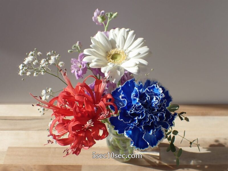 株式会社Crunch Style お花の定期便 Bloomee LIFE ブルーミーライフ 800円のレギュラープラン　赤、青、白というインパクトがあるお花の組み合わせなのに調和しています
