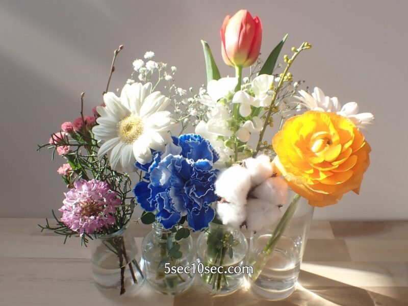 株式会社Crunch Style お花の定期便 Bloomee LIFE ブルーミーライフ　蕾から2ヵ月で咲いたスカビオサを他のお花と一緒に飾ってみた