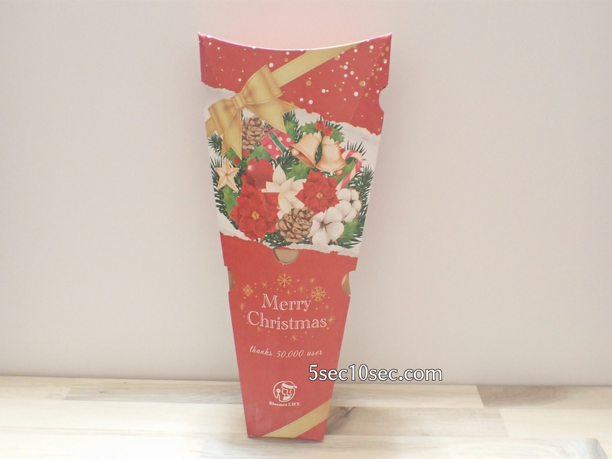株式会社Crunch Style お花の定期便 Bloomee LIFE ブルーミーライフ 12月だったのでクリスマスパッケージで届きました
