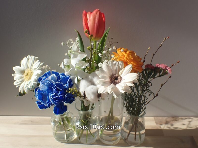 株式会社Crunch Style お花の定期便 Bloomee LIFE ブルーミーライフ　前回、前々回のお花と一緒に飾ってみた
