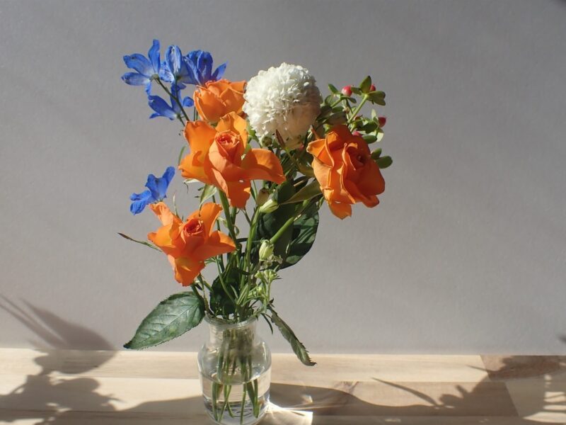 Bloomee LIFE（ブルーミーライフ）レギュラープラン　今週のお花、届いてから5日目のお花の状態
