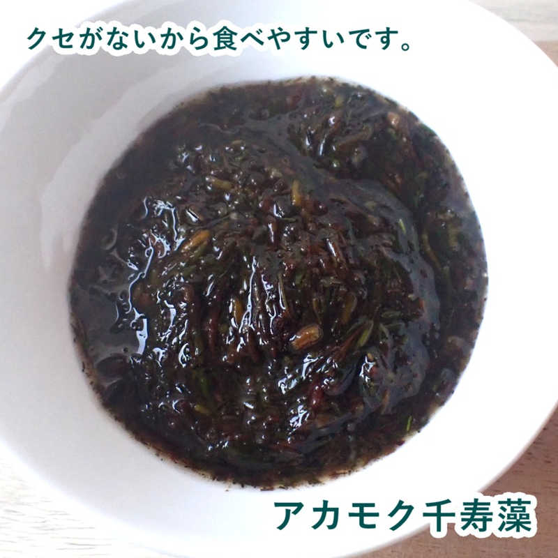 アカモク 千寿藻 せんじゅそう 日本ウェルネス研究所株式会社 アカモクの達人 磯臭さがなくて生臭さもなくクセがないから食べやすいです。