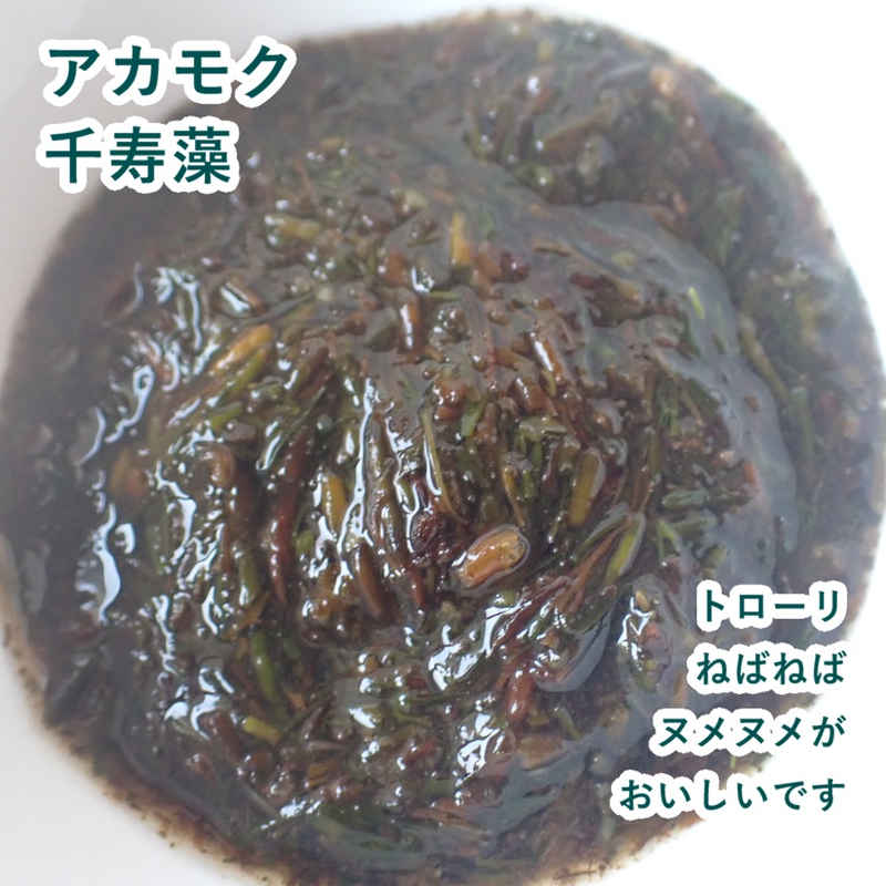 千寿藻は、おいしいネバネバ食材です。アカモクは海藻で別名ギバサとも呼ばれています。