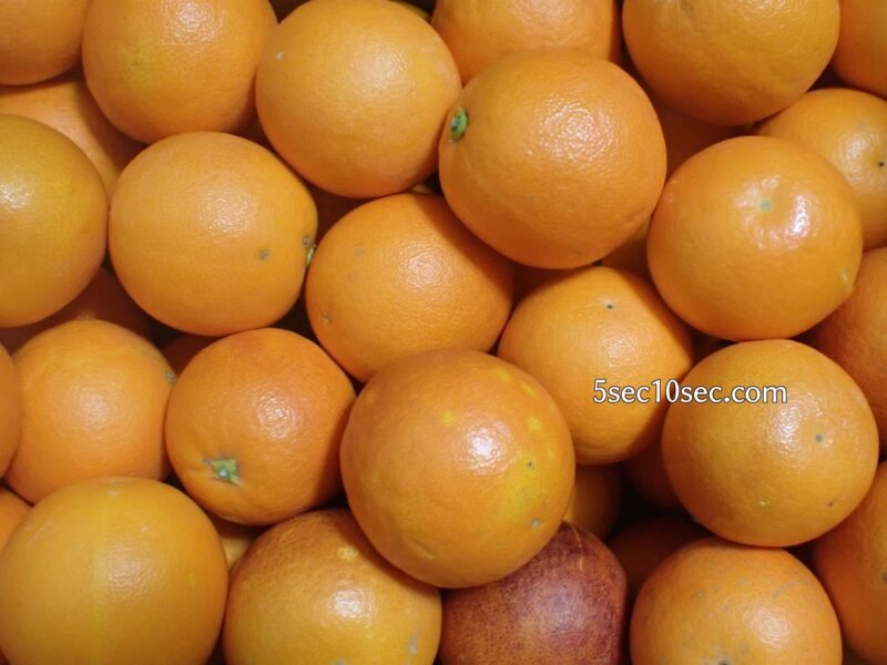 ブラッドオレンジ　モロ種、タロッコ種　混合