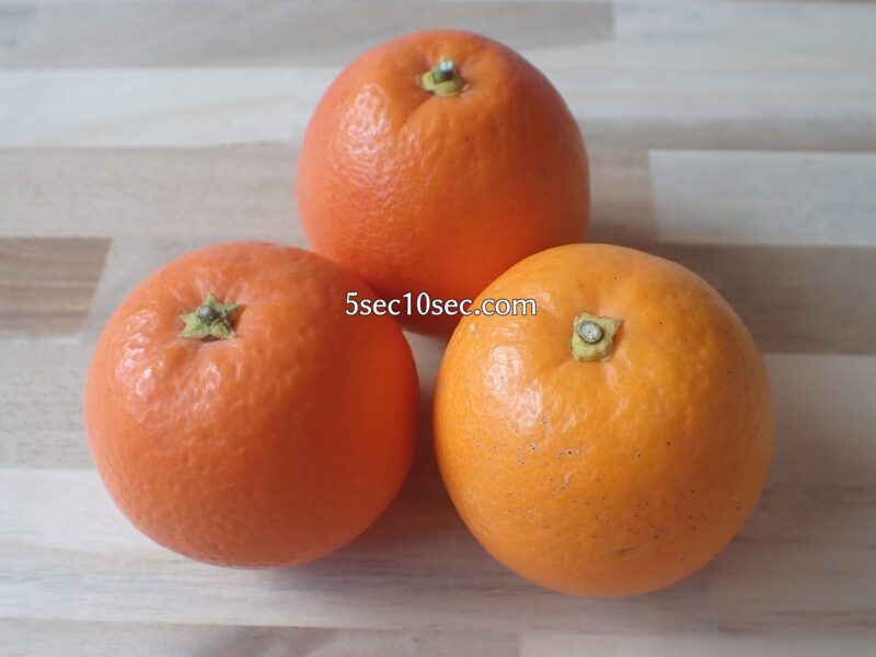 国産ブラッドオレンジ　モロ種、タロッコ種　ブラッドオレンジは温州みかんより少し大きい程度のこぶりのサイズが多いようです
