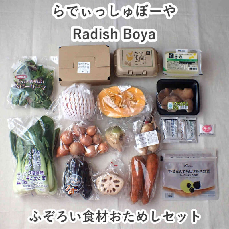 らでぃっしゅぼーや お試しセット Radish Boya ふぞろい食材おためしセット内容一覧 野菜、果物、食材、調味料など届いた物の全て